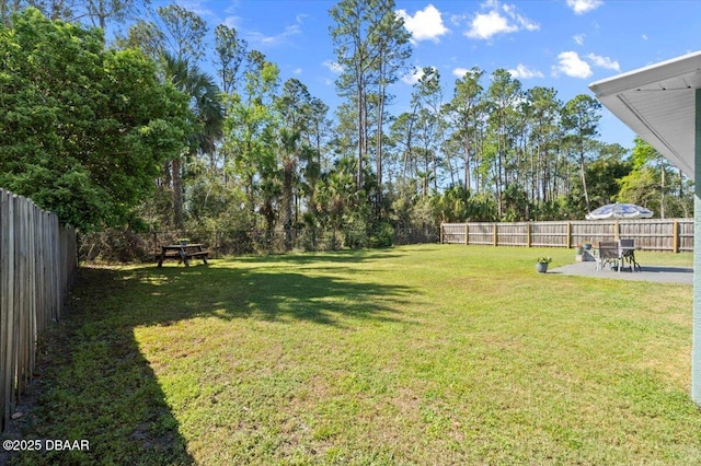 view of yard featuring a fenced backyard and a patio area