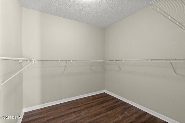 walk in closet featuring dark wood-style flooring