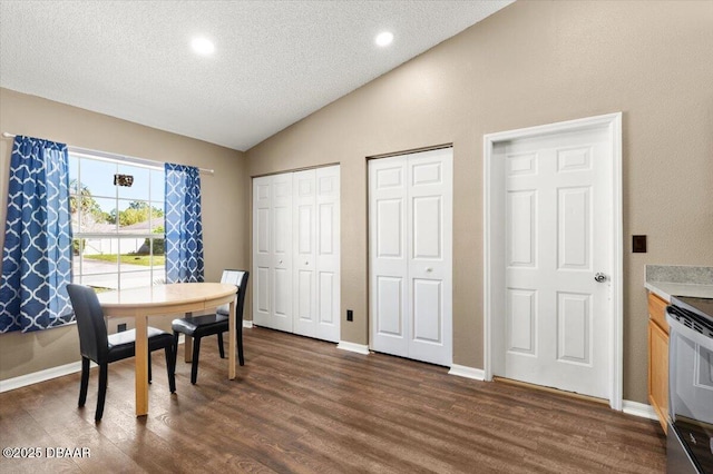 dining space featuring baseboards, a textured ceiling, dark wood-style floors, and vaulted ceiling