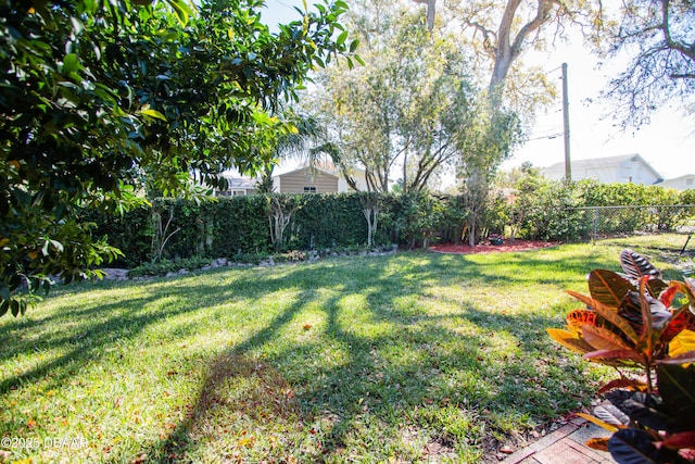 view of yard featuring a fenced backyard