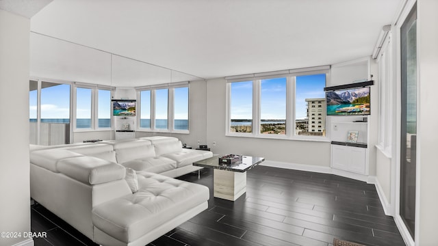 living room featuring dark hardwood / wood-style flooring and a water view