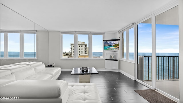 living room featuring a water view, plenty of natural light, and dark hardwood / wood-style floors