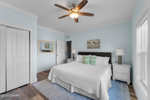 bedroom featuring a closet, ceiling fan, multiple windows, and dark hardwood / wood-style floors