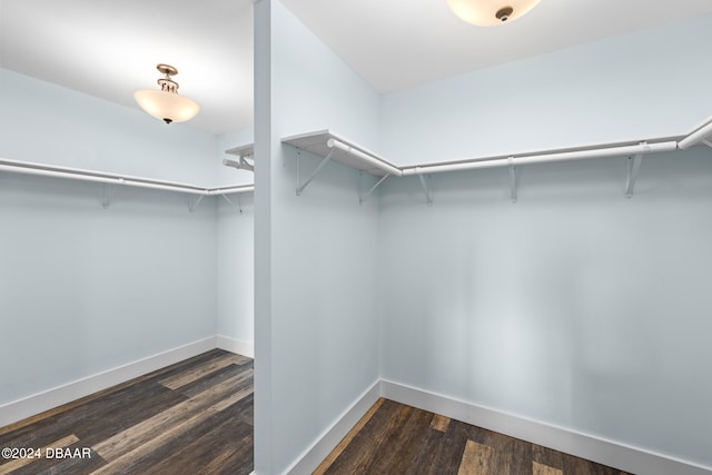 spacious closet featuring dark wood-type flooring