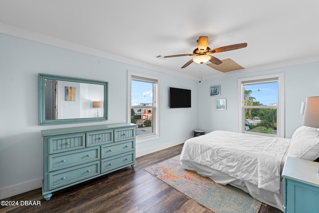 bedroom featuring crown molding, dark hardwood / wood-style flooring, multiple windows, and ceiling fan