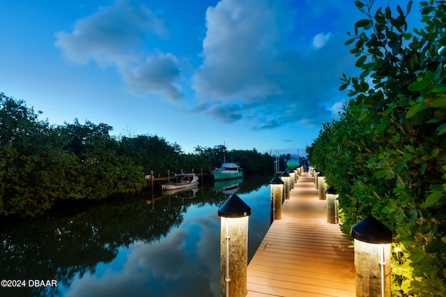 dock area with a water view