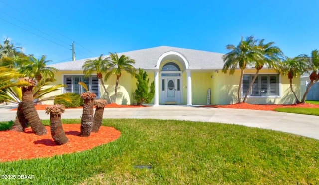 ranch-style home with a front yard, driveway, and stucco siding