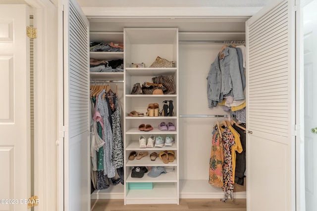 view of closet