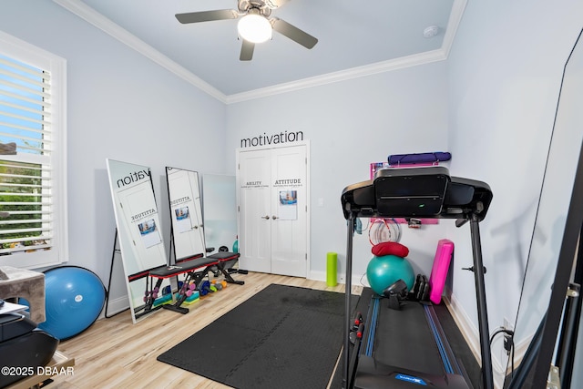 exercise area featuring wood-type flooring, ornamental molding, and ceiling fan