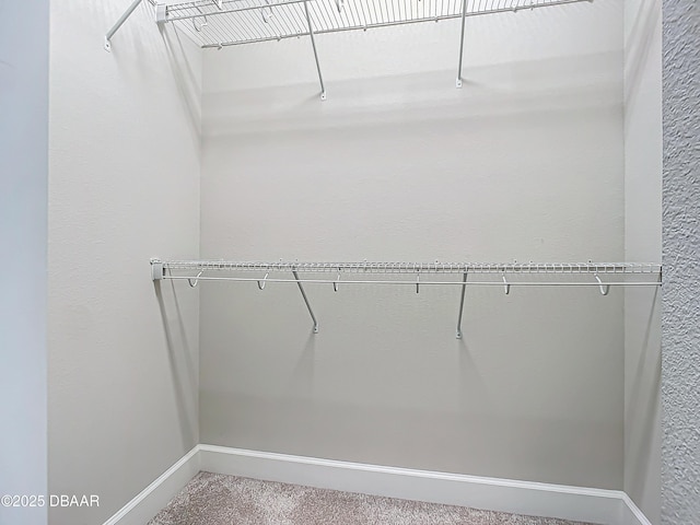 spacious closet with carpet