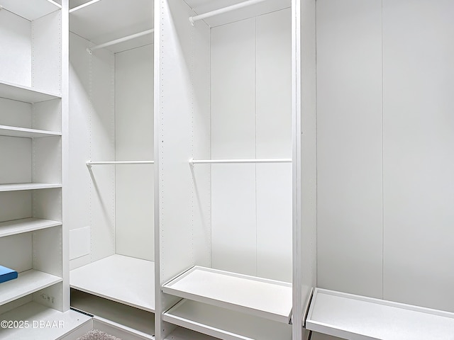 view of walk in closet