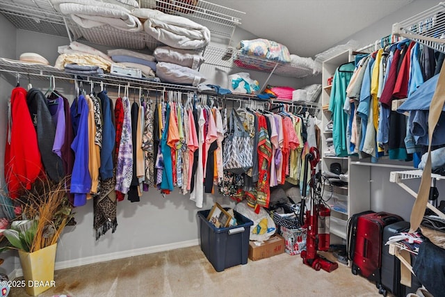 spacious closet with carpet floors