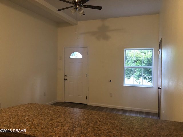 161 W 2nd Ave, Pierson, FL 32180 - foyer with dark wood-style floors, a ceiling fan, and healthy amount of natural light