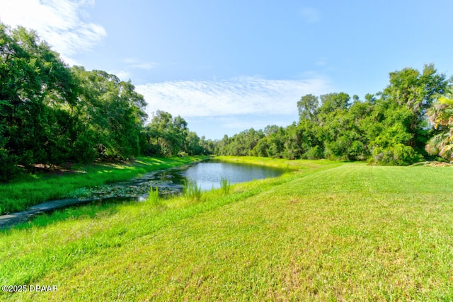 58 Emerald Oaks Ln, Ormond Beach, FL 32174 - photo 46