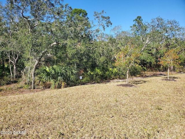 580 Barefoot Life Ln, Daytona Beach, FL 32124 - view of nature