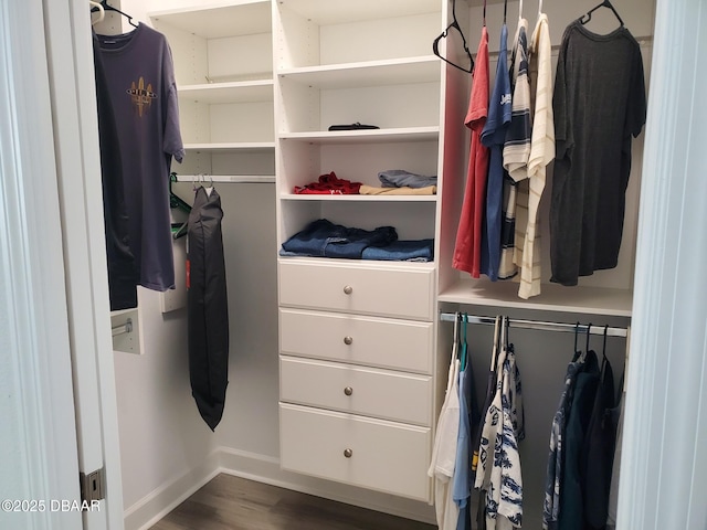 580 Barefoot Life Ln, Daytona Beach, FL 32124 - walk in closet featuring dark wood-style floors