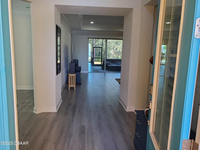 entryway with dark wood-style flooring, a raised ceiling, crown molding, and baseboards