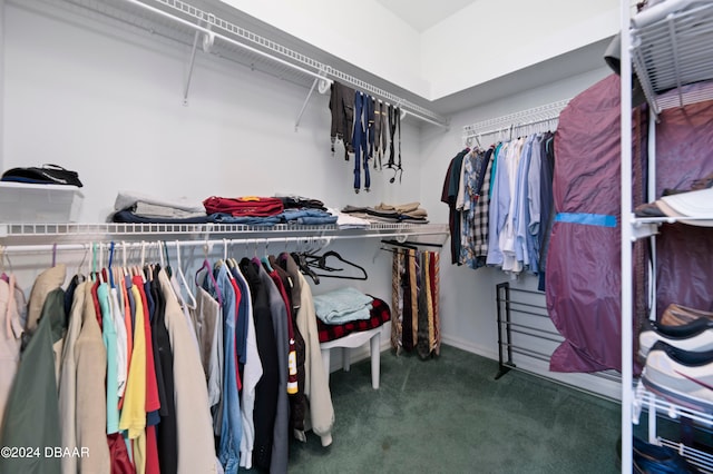 spacious closet featuring dark colored carpet