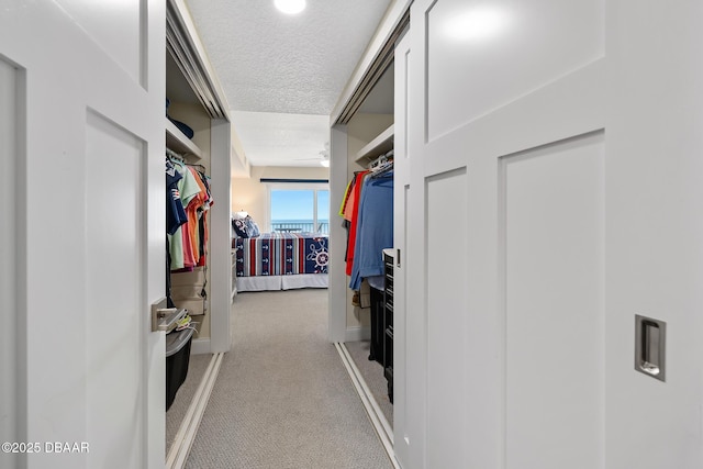 3807 S Atlantic Ave Unit 203, Daytona Beach, FL 32118 - spacious closet with light carpet