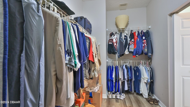 walk in closet featuring wood-type flooring