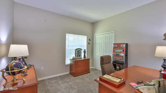 office area featuring light colored carpet