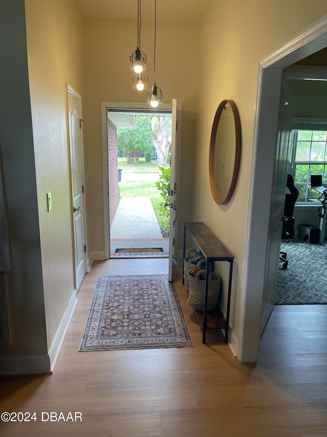 foyer entrance with light hardwood / wood-style floors