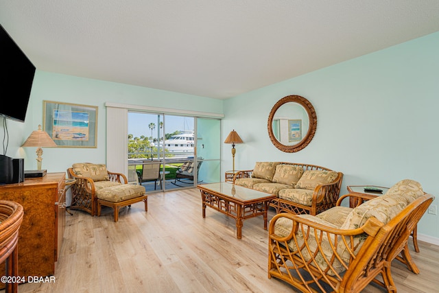 living room with light hardwood / wood-style flooring