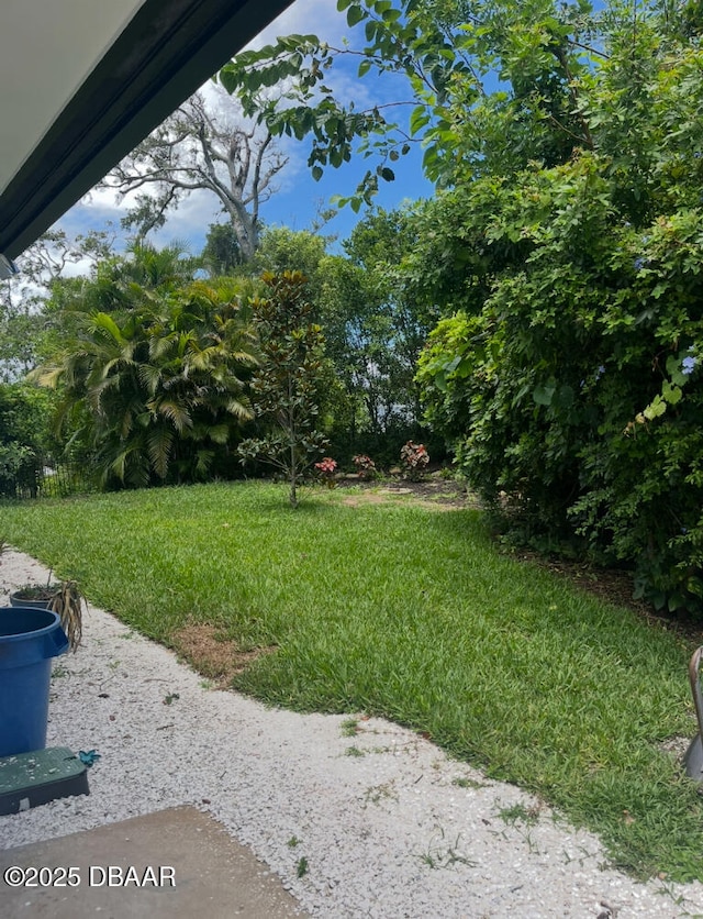 111 Lenox Ave, Daytona Beach, FL 32118 - photo 49