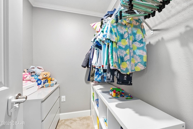 walk in closet with light carpet