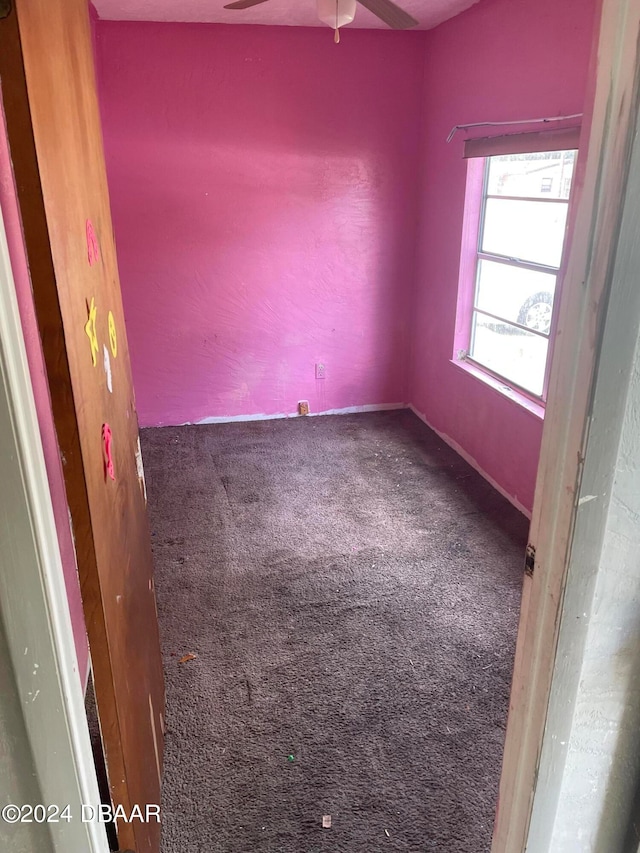 spare room with ceiling fan and carpet