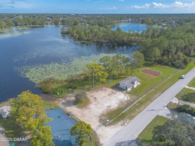991 Dawson Dr, Deltona, FL 32725 - aerial overview of property's location with a nearby body of water and a forest
