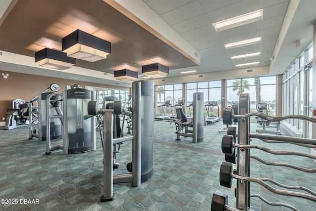 gym featuring a view of city, visible vents, and carpet flooring