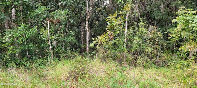 0 Ridgewood Ave, Deleon Springs FL, 32130 land for sale