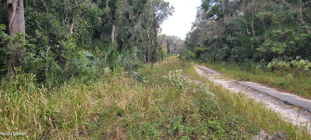 0 Ridgewood Ave, Deleon Springs, FL 32130