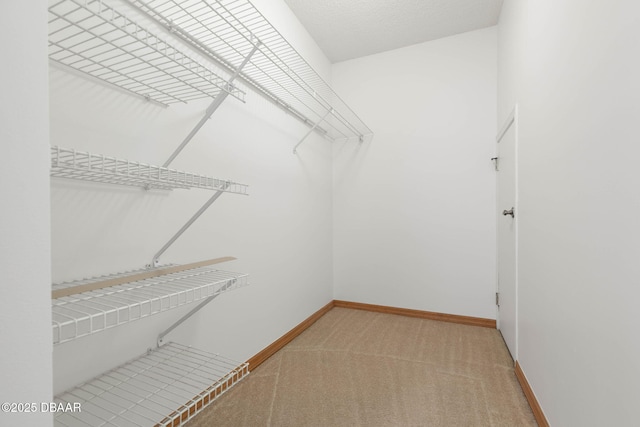 walk in closet with light carpet