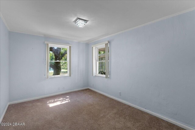 carpeted empty room with ornamental molding