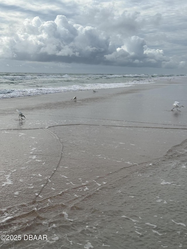 403 Banana Cay Dr Unit B, South Daytona, FL 32119 - water view with local beach