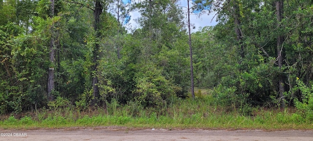 2828 Forest Park St, Bunnell FL, 32110 land for sale