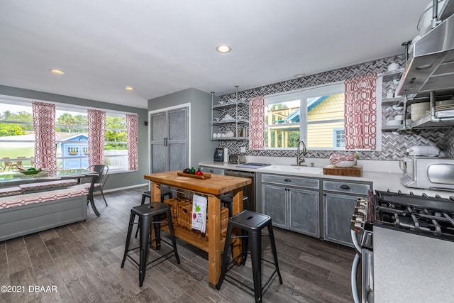 kitchen with stainless steel appliances, gray cabinetry, sink, and dark hardwood / wood-style flooring