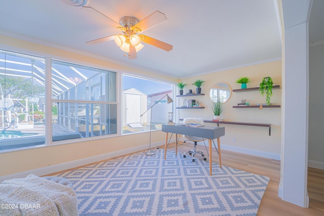 office space featuring light hardwood / wood-style flooring, ceiling fan, and ornamental molding