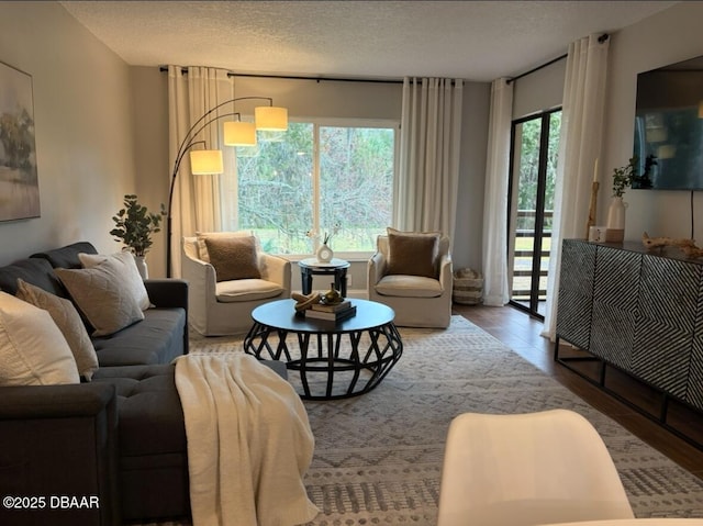 living room featuring a textured ceiling