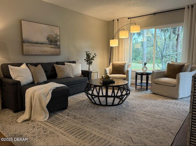 living room featuring hardwood / wood-style floors and a textured ceiling