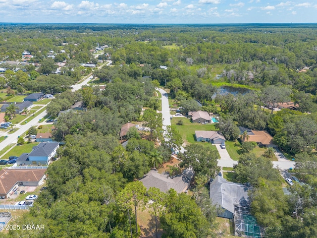 3275 Phonetia Dr, Deltona, FL 32738 - photo 50