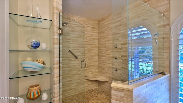 bathroom featuring walk in shower