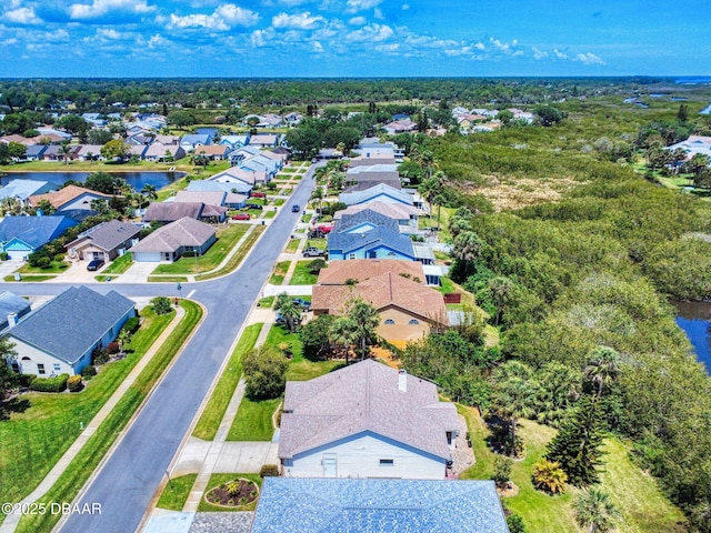 1307 Wayne Ave, New Smyrna Beach, FL 32168 - aerial perspective of suburban area featuring a large body of water