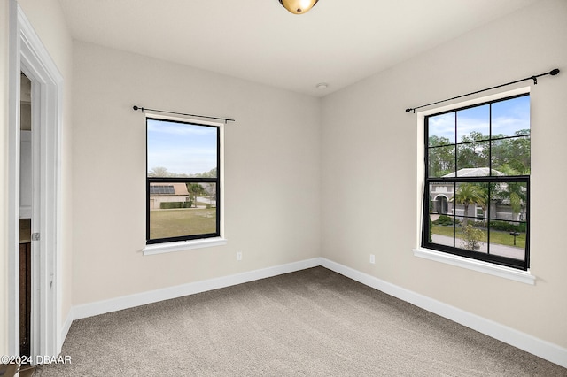 unfurnished room featuring a wealth of natural light and carpet floors