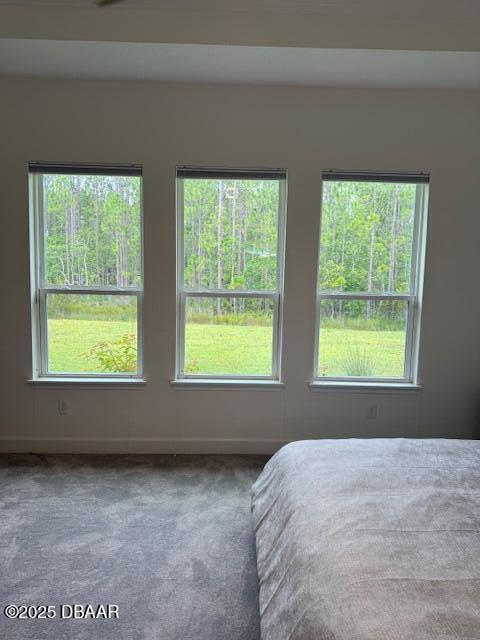 437 Aquamarine Way, Daytona Beach, FL 32124 - bedroom with multiple windows and carpet flooring