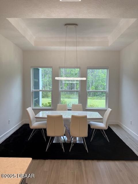 437 Aquamarine Way, Daytona Beach, FL 32124 - dining room featuring a raised ceiling, wood finished floors, and plenty of natural light