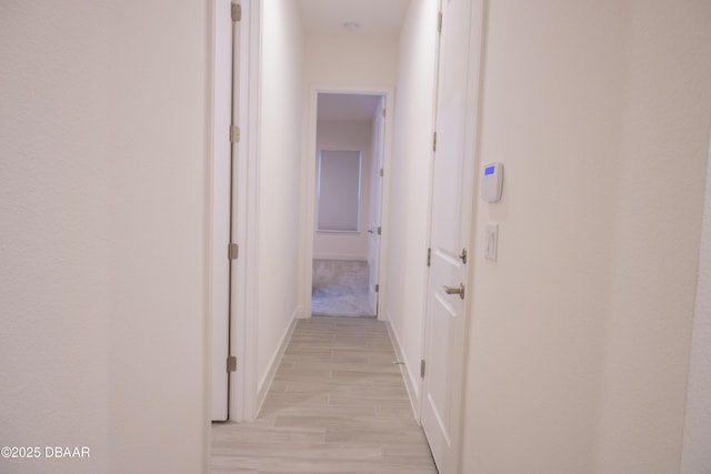 437 Aquamarine Way, Daytona Beach, FL 32124 - corridor with light wood-style flooring and baseboards