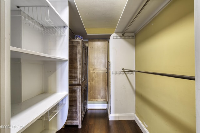 walk in closet featuring dark hardwood / wood-style flooring